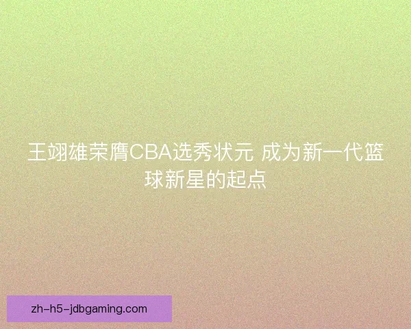 王翊雄荣膺CBA选秀状元 成为新一代篮球新星的起点 王翊雄荣膺CBA选秀状元 成为新一代篮球新星的起点